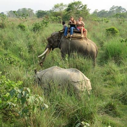 Elephant Ride and Safari